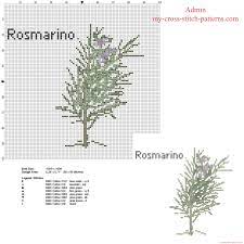 We did not find results for: Rosemary Herb In Nature Category Free And Small Cross Stitch Pattern Free Cross Stitch Patterns Simple Unique Alphabets Baby