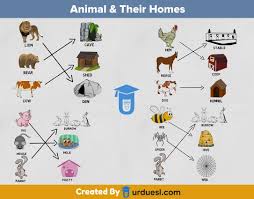 14 day loan required to access epub and pdf files. Animal And Their Homes With Pictures Download Pdf Ppt