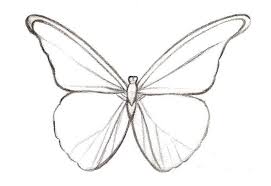 Schmetterling Einfach Zeichnen Dekoking Diy Bastelideen Dekoideen Zeichnen Lernen Einfach Zeichnen Zeichnen Einfach Schmetterling Zeichnen
