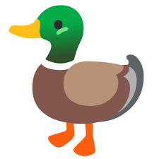 نتیجه جستجوی لغت [canard] در گوگل