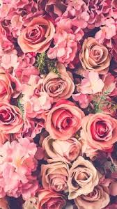 Free moon phase phone wallpaper. Pink Flower Wallpaper Tumblr Wallpapers Background Pink Aesthetic Backgrounds Flowers 1152x727 Wallpaper Teahub Io
