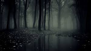What S Hiding In The Woods Dark Wallpaper Forest Wallpaper Landscape Wallpaper