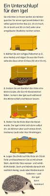 Igelunterschlupf Ein Winterquartier Fur Igel Ist Ganz Leicht Selbstgemacht Ein Kleiner Bau Ca 25 Cm Hoch 35 Cm Breit Und 30 Igel Im Garten Igel Obstkisten