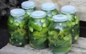· boil liquids and seasonings to dissolve the salt then cool. Claussen Kosher Dill Pickles Deli Pickles Copycat Easy No Canning Recipe Recipezazz Com