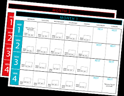 Insanity Max 30 Worksheet Downloads Beachbody Com