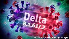 The variant has appeared with two notable mutations: Fact Check What Do We Know About The Coronavirus Delta Variant Science In Depth Reporting On Science And Technology Dw 30 06 2021
