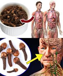 Start chewing cloves and see what happens…see more.