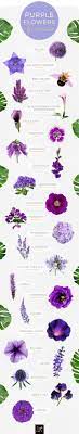 The flower color ranges from pale lilac to deep royal purple lavender flowers of hidcote lavender plants. 50 Types Of Purple Flowers Ftd Com