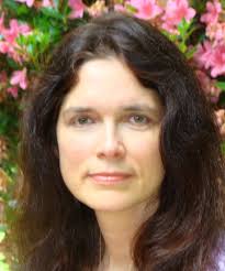 United States South Region (IBH)