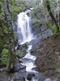 We wanted to break up the drive from the monterey area to redding and found uvas canyon county park waterfalls. Uvas Canyon Park Reopens Morgan Hill Times Morgan Hill San Martin Ca