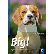 Image result for bígl