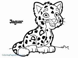 Cute Cartoon Animal Coloring Pages Elegant Cheetah Coloring Pages For Adults Navajosheet Animal Coloring Pages Bear Coloring Pages Dolphin Coloring Pages