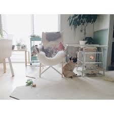 ムートン ニトリ ウンベラータ instagram yui k 賃貸 などのインテリア実例 2017 01 27 15 19 17 roomclip ルームクリップ インテリア インテリア 実例 模様替え