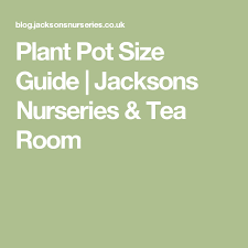 plant pot size guide jacksons nurseries tea room