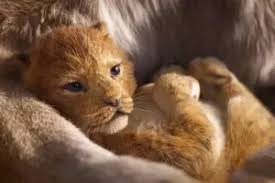 Will he be able to find love between his bully and his you're read excuse me, this is my room manga online at mangadna.com. Excuse Me This Is My Room Mangaforfree Net