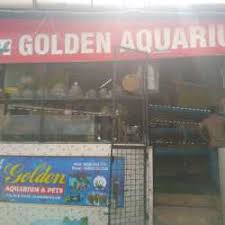 14.69 miles (23.65 km) with 47 min travel time. Golden Aquarium Kunnamkulam Pet Shops In Thrissur Justdial