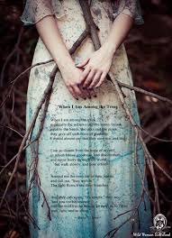 When I Am Among The Trees Especially The Willows And The Honey Locust Equally The Beech The Oaks And The Pines Mary Oliver Poems Mary Oliver Beautiful Words