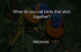 Pin By Kirthana Marepalli On Funny Pics In 2020 Dad Jokes Funny Work Jokes Punny Jokes