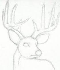 How To Draw A Deer Head Buck Dear Head Step By Step Realistic Drawing Technique Free Online Drawing Tutorial Sketches Art Drawings Sketches Deer Drawing