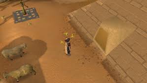In this game you use your thieving skills to search sarcophagi, urns, and chests to claim rewards. Activity Pyramid Plunder Sal S Realm Of Runescape