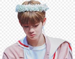 Wanna one bae jinyoung verbrenne es poster. Bae Jin Young Wanna One Produce 101 Season 2 Park Jihoon Png 776x651px Watercolor Cartoon Flower