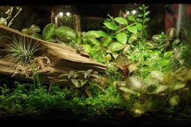 Image result for ‫تراریوم‬‎