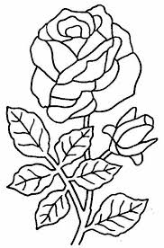 Trandafirii sunt flori foarte populare, care frecvent sunt văzute ca un simbol al. Januar Flori De Primavara Desen In Creion