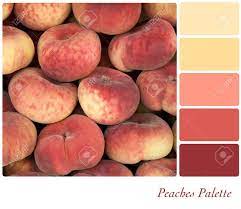 The combo library provides a convenient way to search peach color schemes. Peaches Background Colour Palette With Complimentary Swatches Stock Photo Picture And Royalty Free Image Image 15487019