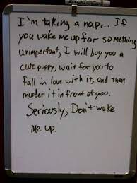 These funny quotes had me smiling let s see if you will laugh a lot when reading them. 25 Funny Whiteboard Quotes To Entertain You Enkiquotes