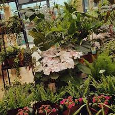 There are plenty of car parking spaces available at ashton hall garden centre with dedicated spaces close to. Ashton Hall Garden Centre Home Facebook