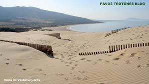 Duna, iran (disambiguation), places in iran. Wikiloc Picture Of Duna De Valdevaqueros Punta Paloma 1 3