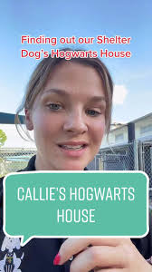 Dog Chooses Hogwarts House