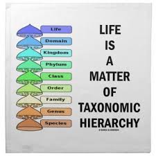 Life Is A Matter Of Taxonomic Hierarchy Biology Biology Humor Biology Life