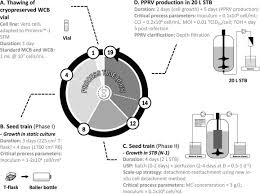 The development of cell culture systems for virus propagation has led to major advances in virus vaccine development. Process Intensification For Peste Des Petites Ruminants Virus Vaccine Production Sciencedirect
