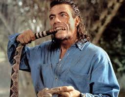 O ator foi isolado na casa desde que, na primeira festa do programa, se desentendeu com kerline, primeira eliminada do. 10 Filmes Com Jean Claude Van Damme Cinema De Buteco