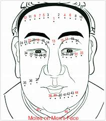 meaning of moles on the face chinese facial mole reading