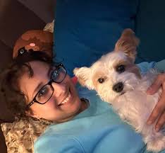 Do other Yorkies love camping?