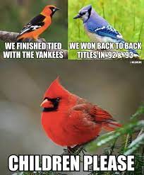 Google St Louis Cardinals Baseball Stl Cardinals Baseball Cardinals Baseball