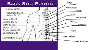 Vitalize The Whole Body Using Back Shu Points