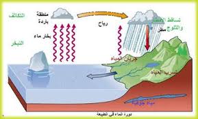 دورة الماء دورة الماء هي دورة وحركة المياه على الأرض وتغير أشكالها من سائل إلى بخار ثم إلى جليد ومرة أخرى إلى سائل Classroom Baby Mobile Blog Posts