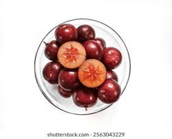 Image result for Flacourtia