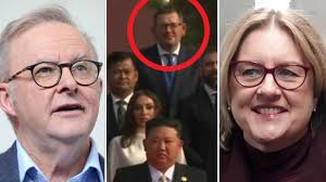 Grima puts hand up for seniors