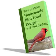 Birds In My Area Now Pin By Suzanne Kogler On Yard N Garden Wild Bird Food Bird Food Backyard Birds