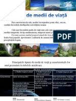 Ungureanu george medii geografice mediul geografic reprezinta un macrosistem alcatuit din mai multe componente (relief, apa, aer text of tipuri de medii de viata.ppt. Tipuri De Medii De Viata