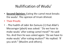 Perform wudu if you wish, and if do not wish, do not perform it. Fiqh Of Tahara 6 Taught By Hacene Chebbani Nullification Of Wudu Things That Nullify The Wudu Can Be Divided Into Two Types 1 Agreed Upon Nullifiers Ppt Download
