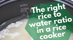 Next, i drained the rice to see how much water i'd used. Rice To Water Ratio In A Rice Cooker White Jasmine Basmati