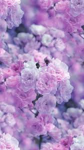 List Of Free Light Purple Iphone Wallpapers Download Itl Cat We have a massive amount of hd images that will make your computer or smartphone look absolutely fresh. light purple iphone wallpapers
