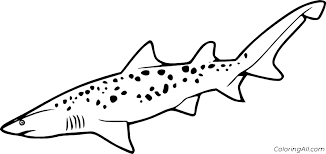 In this website you can find a number of printable shark coloring pages that are ideally suited to develop your childs creative skills. Tiger Shark Coloring Pages Coloringall