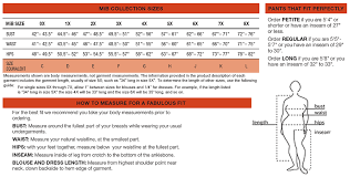 Google Image Result For Http Cdn Makingitbig Com Images Size Charts Size Chart Small Win12 Gif Clothing Size Chart Plus Size Outfits Size Chart