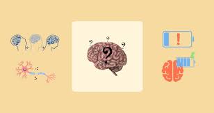 Image result for Concussion